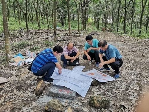 省地質調查院實施的 建筑用資源重點礦區勘查評價及礦山環境風險評估項目 野外驗收獲評優秀