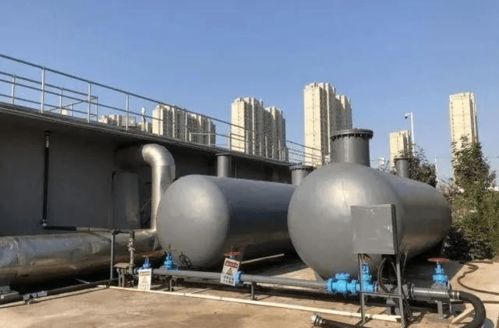 污水處理廠(chǎng)喝上 青島啤酒 ,放錯(cuò)位置的碳源有了新出路